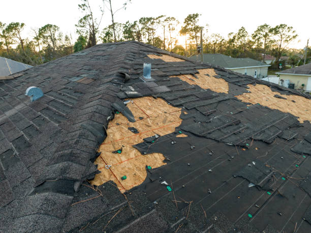 Best Solar Panel Roofing Installation  in New Albany, OH